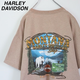 Harley Davidson - 【USA製】ハーレーダビッドソン／Tシャツ　XL　バックプリント　MONTANA