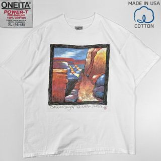 ヴィンテージ(VINTAGE)の90s ビンテージ◎アートT グランドキャニオン ONEITA Tシャツ XL(Tシャツ/カットソー(半袖/袖なし))