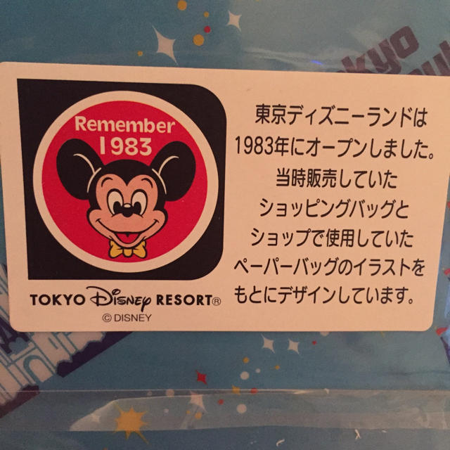 Disney(ディズニー)の【レア】TDL25周年クリアファイル エンタメ/ホビーのアニメグッズ(クリアファイル)の商品写真