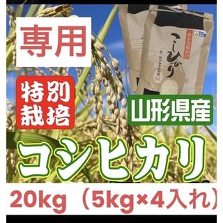 お米　コシヒカリ10kg 特別栽培米　山形県産　甘くてふっくら(米/穀物)