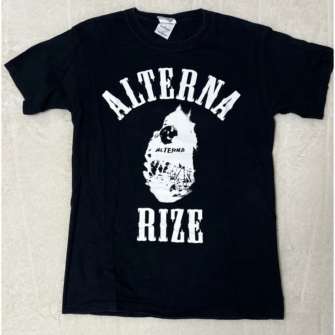 RIZE 2007年ALTERNA ツアーTシャツ　Sサイズ メンズのトップス(Tシャツ/カットソー(半袖/袖なし))の商品写真