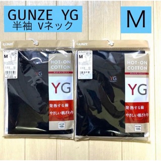 ★2/2【GUNZE 】グンゼVネックTシャツ M 2枚セット