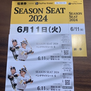 6月11日　ソフトバンクホークス　東京ヤクルト　チケット(その他)