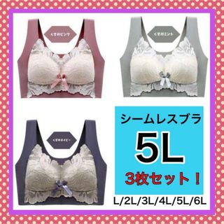 ⭐️シームレスブラノンワイヤーナイトブラマタニティ大きいサイズ5L ⭐️(ブラ)