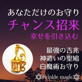 チャンス招来お守り！神遣いの聖鳩パワーで幸せ引き込み吉兆を招く！タイミング(その他)