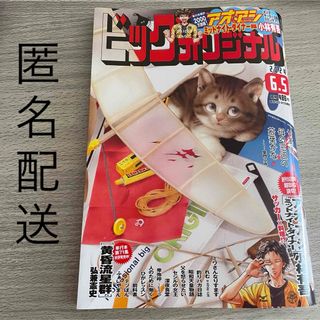 ショウガクカン(小学館)のビッグコミック オリジナル 2024年 6/5号 [雑誌](漫画雑誌)