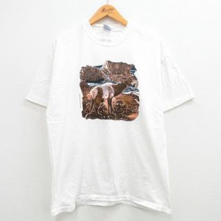 ヘインズ(Hanes)のXL★古着 ヘインズ Hanes 半袖 ビンテージ Tシャツ メンズ 00年代 00s シカ コットン クルーネック 白 ホワイト 24may20 中古(Tシャツ/カットソー(半袖/袖なし))