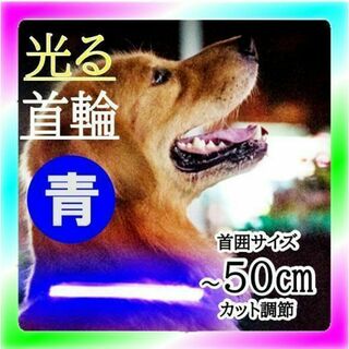 新品送料無料 ペット用 夜のお散歩 光る首輪 50㎝ ブルー(犬)