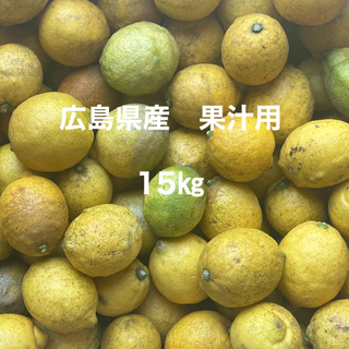広島県産　果汁用　レモン　約15㎏(フルーツ)