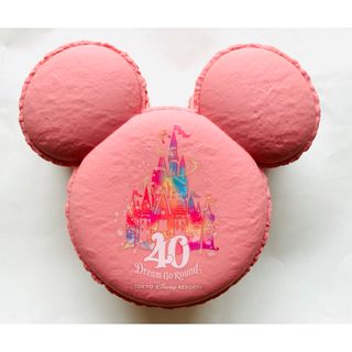 ディズニー(Disney)の【未使用品】ディズニーリゾート スーベニアマカロンケース 小物入れ(キャラクターグッズ)