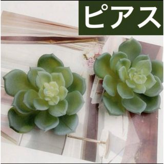 植物　グリーン　観葉　多肉植物　エケベリア　ビック　ピアス　ゴールド(ピアス)