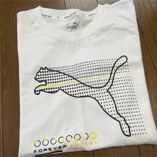 プーマ(PUMA)の新品　プーマ　半袖　Tシャツ　150cm ホワイト　新品(Tシャツ/カットソー)