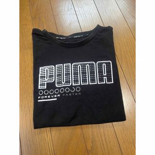 プーマ(PUMA)のPUMA Tシャツ　プーマ　150cm 男の子(Tシャツ/カットソー)