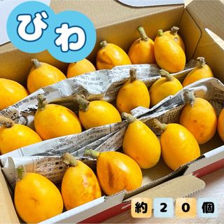 福岡県産とれたてびわ ★注文後に収穫します