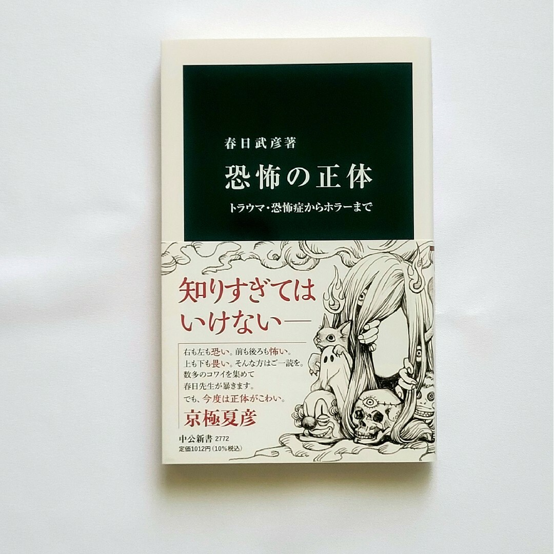 恐怖の正体 エンタメ/ホビーの本(その他)の商品写真