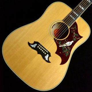 ギブソン(Gibson)のGibson（ギブソン）/Dove Original 【中古】【USED】エレクトリック・アコースティックギター【郡山アティ店】(その他)