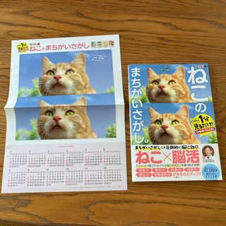 毎日脳活スペシャル　ねこのまちがいさがし