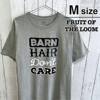 フルーツオブザルーム(FRUIT OF THE LOOM)のFRUIT OF THE LOOM　Tシャツ　Mサイズ　グレー　プリント　ロゴ(Tシャツ/カットソー(半袖/袖なし))