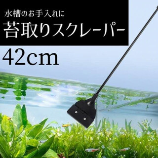 スクレーパー 替刃 アクアリウム 水槽 掃除 苔取り プロレイザー コケ取り(アクアリウム)