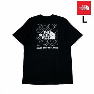 THE NORTH FACE - ノースフェイス 半袖 Tシャツ US限定 ボックスロゴ(L)黒 180902