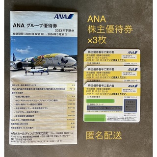 エーエヌエー(ゼンニッポンクウユ)(ANA(全日本空輸))のANA  株主優待券 3枚(航空券)