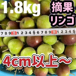 長野県北部 農家直送 摘果リンゴ(秋映) 箱込み １.８kg(フルーツ)