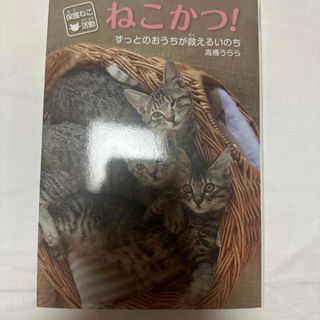 保護ねこ活動　ねこかつ！(絵本/児童書)