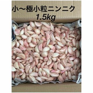 小粒ニンニク1.5kg(野菜)