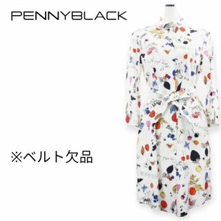 ペニーブラック(PENNY BLACK)のE303 PENNY BLACK ポッププリントシャツワンピース(ひざ丈ワンピース)