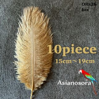 【ORs26フォックス】10本15-19cm オーストリッチ フェザー 羽根(その他)