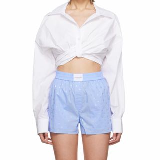 アレキサンダーワン(Alexander Wang)の新品未使用　Alexandar Wang シャツ　サイズ4(シャツ/ブラウス(長袖/七分))