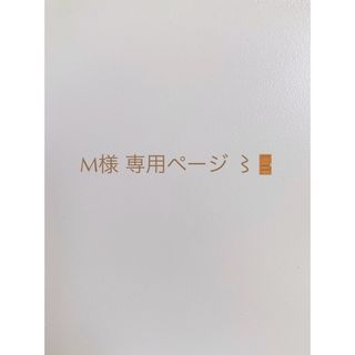 ラシット(Russet)のM様 専用ページ 〻🚪(ハンドバッグ)