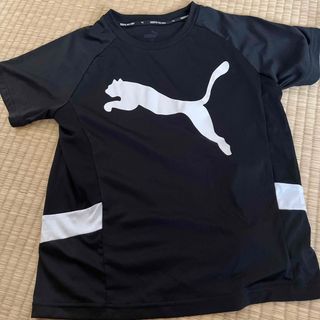 プーマ(PUMA)のpuma キッズTシャツ(Tシャツ/カットソー)