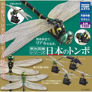 タカラトミーアーツ(T-ARTS)の原色図鑑シリーズ 日本のトンボ リアルフィギュア 全５種類 新品 ガチャガチャ(その他)