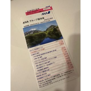 エーエヌエー(ゼンニッポンクウユ)(ANA(全日本空輸))のANA 株主優待(その他)