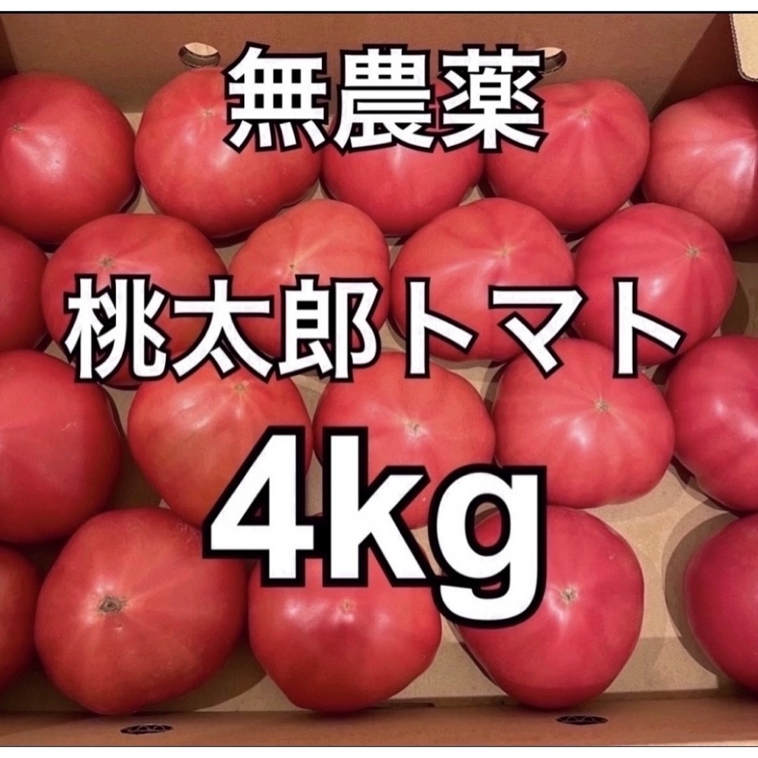無農薬 栽培 桃太郎トマト 4kg B品 REOファーム 食品/飲料/酒の食品(野菜)の商品写真