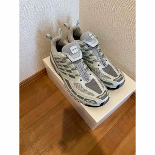 サロモン(SALOMON)のsalomon acs pro Metal Frost Grey 30センチ(スニーカー)