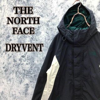 ザノースフェイス(THE NORTH FACE)のN139 人気カラーUSA規格ノースフェイス刺繍ドライベントマウンテンパーカー(マウンテンパーカー)