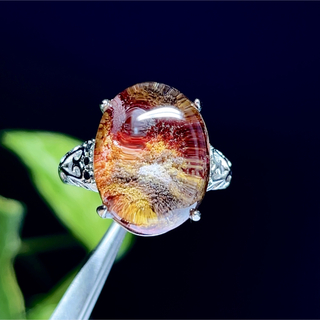 ガーデンクォーツ　リング　シルバーリング 指輪　天然石　水晶【超美品】65(リング(指輪))
