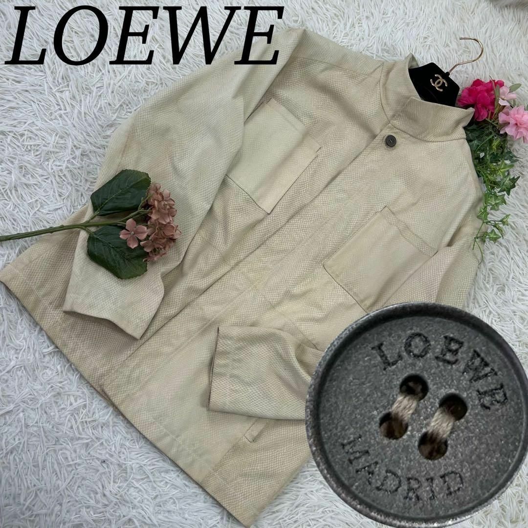 LOEWE(ロエベ)のA553 ロエベ メンズ テーラードジャケット パイソン柄 レザー風 L 48 メンズのジャケット/アウター(テーラードジャケット)の商品写真