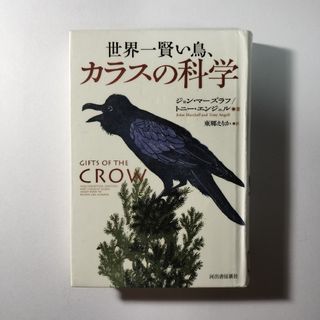 世界一賢い鳥、カラスの科学(ノンフィクション/教養)