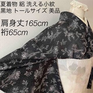 夏着物 絽 洗える小紋 黒 白 モノトーン 波 水玉 菊の図 トールサイズ 美品(着物)
