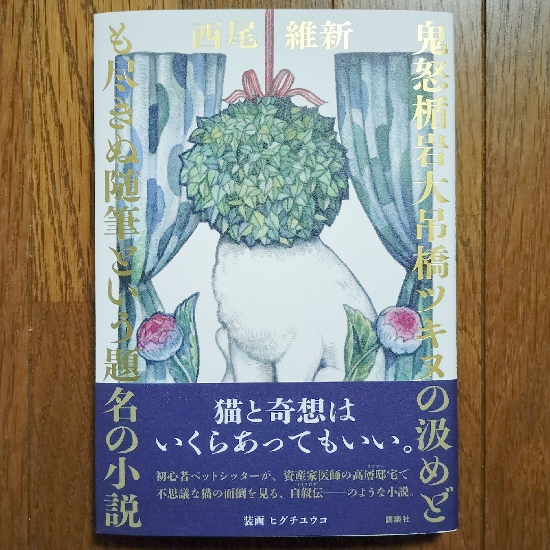 鬼怒楯岩大吊橋ツキヌの汲めども尽きぬ随筆という題名の小説 エンタメ/ホビーの本(文学/小説)の商品写真