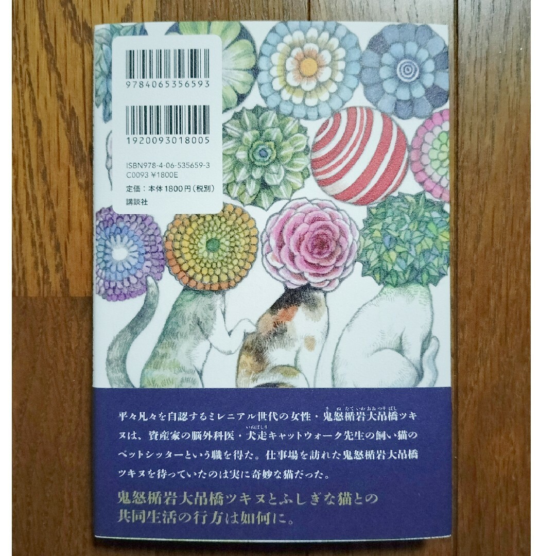 鬼怒楯岩大吊橋ツキヌの汲めども尽きぬ随筆という題名の小説 エンタメ/ホビーの本(文学/小説)の商品写真