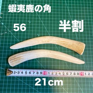 鹿の角　鹿のツノ　鹿角　鹿ツノ　シカツノ　蝦夷鹿　おもちゃ　角　犬用品　犬(犬)