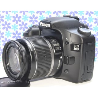 キヤノン(Canon)の極美品★Canon EOS 30D★高画質★コンパクト★すぐ使える★(デジタル一眼)