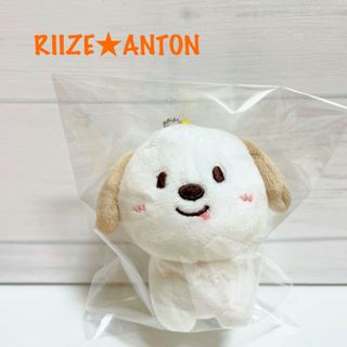 《公式》RIIZE★アントン★2024バレンタインDAYZE-10cmDOLL(K-POP/アジア)