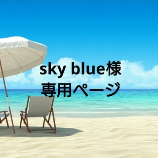 sky blue 様専用ページ　ネックレス8点(ネックレス)