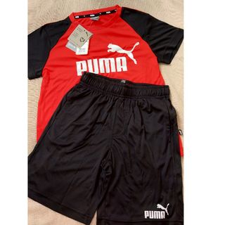 プーマ(PUMA)の新品☆PUMA　プーマ　ジャージ上下(Tシャツ/カットソー)