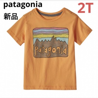 パタゴニア(patagonia)の大特価‼️patagonia ロゴTシャツ⭐️オーガニックコットン⭐️2T⭐️(Tシャツ/カットソー)